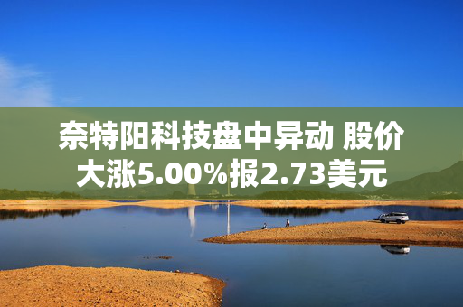 奈特阳科技盘中异动 股价大涨5.00%报2.73美元