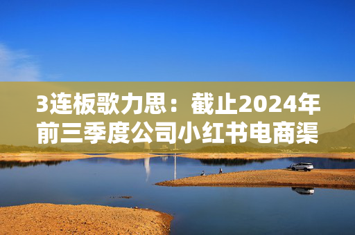 3连板歌力思：截止2024年前三季度公司小红书电商渠道销售收入约为700万元