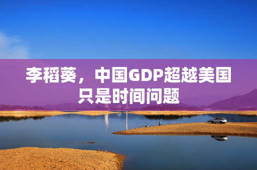 李稻葵，中国GDP超越美国只是时间问题