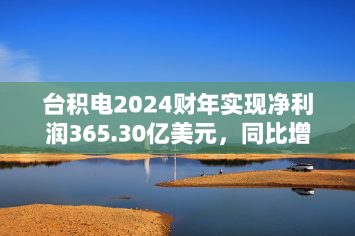 台积电2024财年实现净利润365.30亿美元，同比增加35.80%