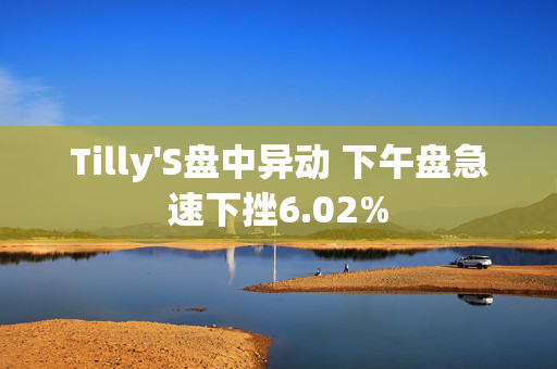 Tilly'S盘中异动 下午盘急速下挫6.02%