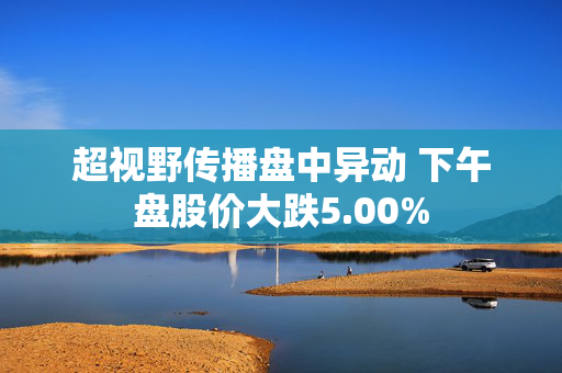 超视野传播盘中异动 下午盘股价大跌5.00%