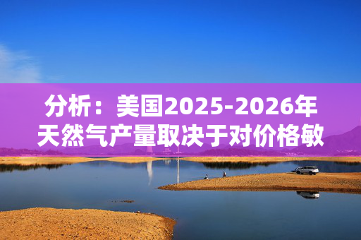 分析：美国2025-2026年天然气产量取决于对价格敏感的盆地