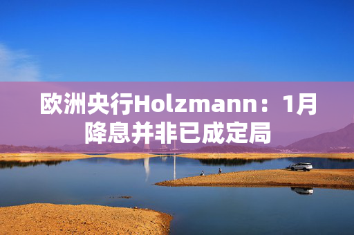 欧洲央行Holzmann：1月降息并非已成定局