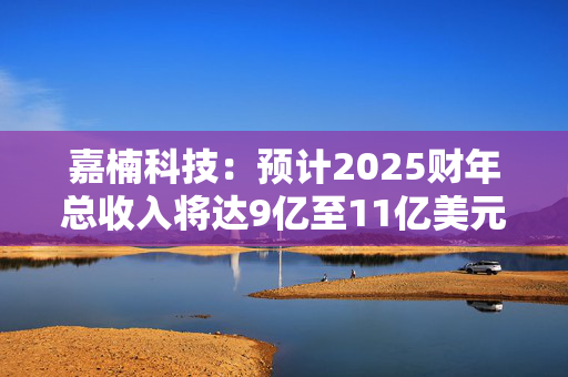 嘉楠科技：预计2025财年总收入将达9亿至11亿美元