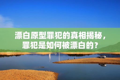 漂白原型罪犯的真相揭秘，罪犯是如何被漂白的？