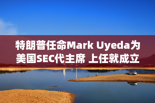 特朗普任命Mark Uyeda为美国SEC代主席 上任就成立加密货币工作组