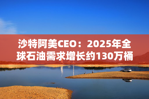 沙特阿美CEO：2025年全球石油需求增长约130万桶/日