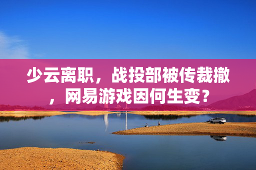 少云离职，战投部被传裁撤，网易游戏因何生变？