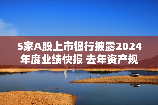 5家A股上市银行披露2024年度业绩快报 去年资产规模均稳步扩张