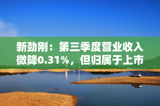 新劲刚：第三季度营业收入微降0.31%，但归属于上市公司股东的净利润增长2.13%