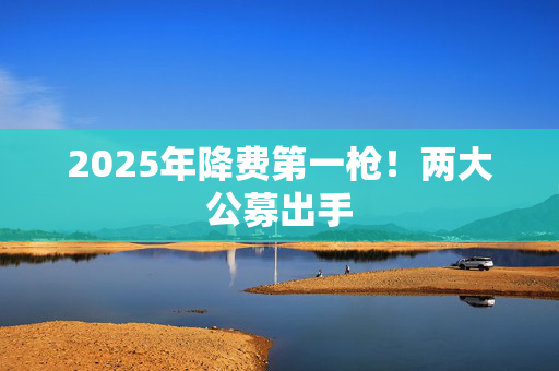 2025年降费第一枪！两大公募出手