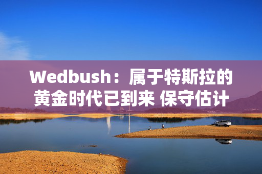 Wedbush：属于特斯拉的黄金时代已到来 保守估计破550美元