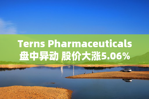 Terns Pharmaceuticals盘中异动 股价大涨5.06%