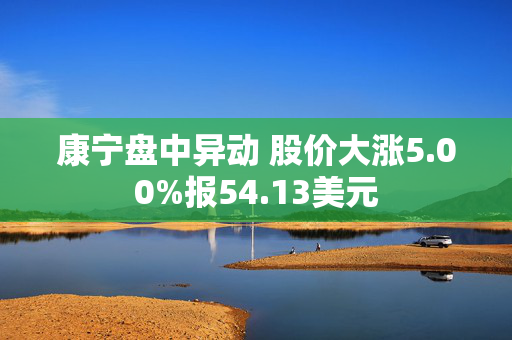 康宁盘中异动 股价大涨5.00%报54.13美元