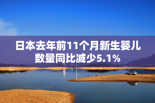 日本去年前11个月新生婴儿数量同比减少5.1%