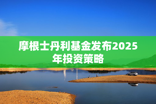 摩根士丹利基金发布2025年投资策略