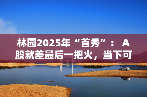 林园2025年“首秀”： A股就差最后一把火，当下可以满仓睡觉，好好过年