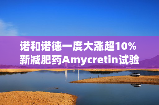 诺和诺德一度大涨超10% 新减肥药Amycretin试验数据亮眼