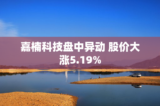 嘉楠科技盘中异动 股价大涨5.19%