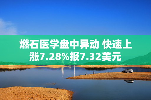 燃石医学盘中异动 快速上涨7.28%报7.32美元