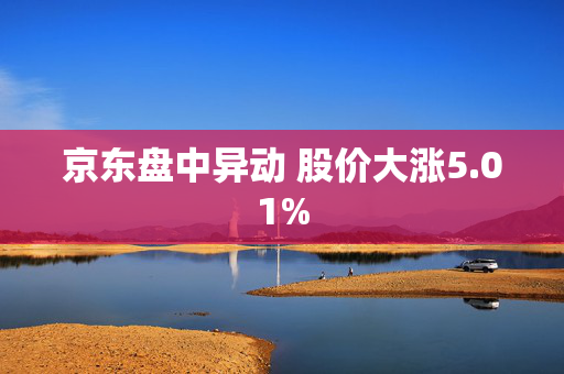 京东盘中异动 股价大涨5.01%