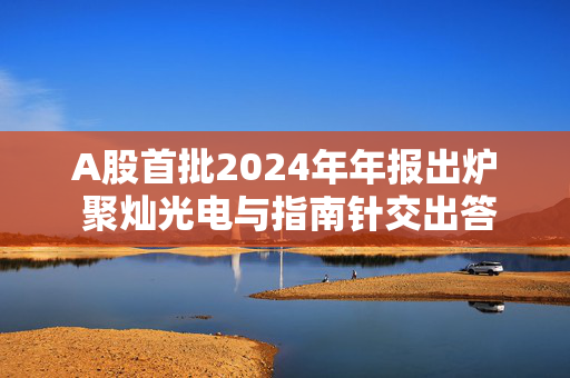 A股首批2024年年报出炉 聚灿光电与指南针交出答卷