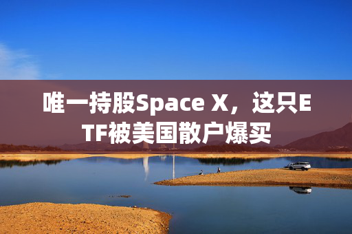 唯一持股Space X，这只ETF被美国散户爆买