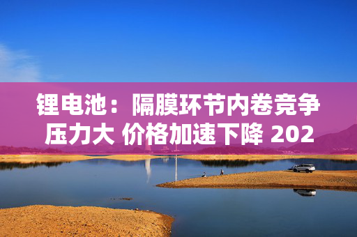 锂电池：隔膜环节内卷竞争压力大 价格加速下降 2024Q4下游需求超预期但价格未有利提升