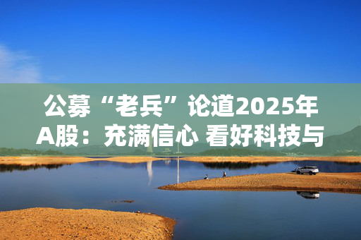 公募“老兵”论道2025年A股：充满信心 看好科技与消费赛道