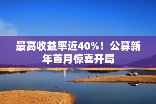 最高收益率近40%！公募新年首月惊喜开局