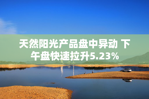 天然阳光产品盘中异动 下午盘快速拉升5.23%