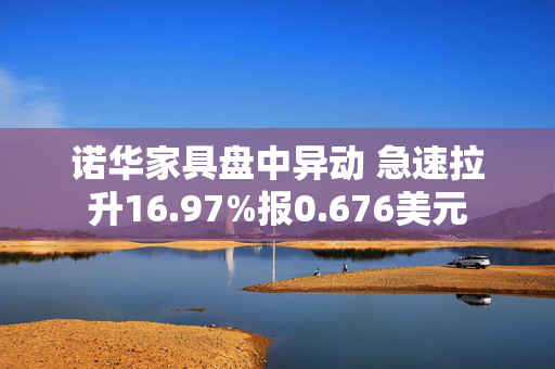 诺华家具盘中异动 急速拉升16.97%报0.676美元