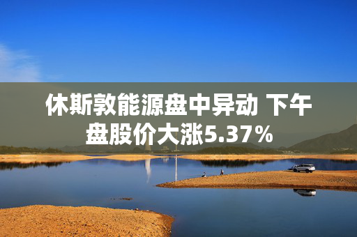 休斯敦能源盘中异动 下午盘股价大涨5.37%