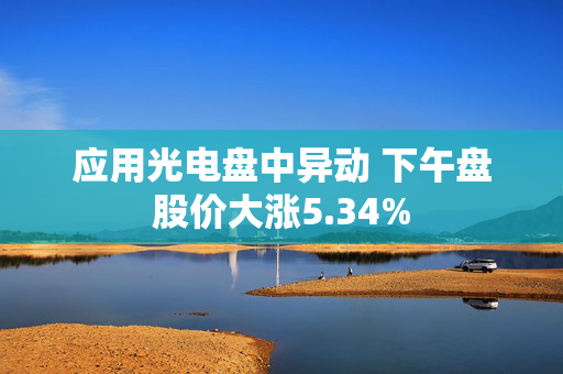 应用光电盘中异动 下午盘股价大涨5.34%