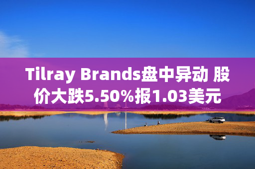 Tilray Brands盘中异动 股价大跌5.50%报1.03美元