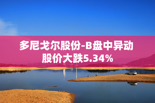 多尼戈尔股份-B盘中异动 股价大跌5.34%