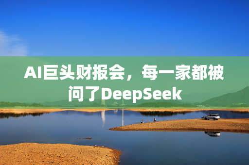 AI巨头财报会，每一家都被问了DeepSeek