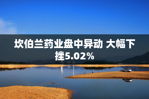 坎伯兰药业盘中异动 大幅下挫5.02%