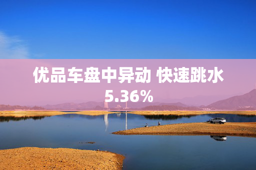 优品车盘中异动 快速跳水5.36%