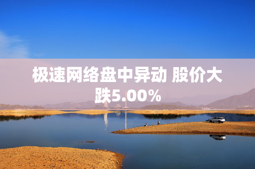 极速网络盘中异动 股价大跌5.00%