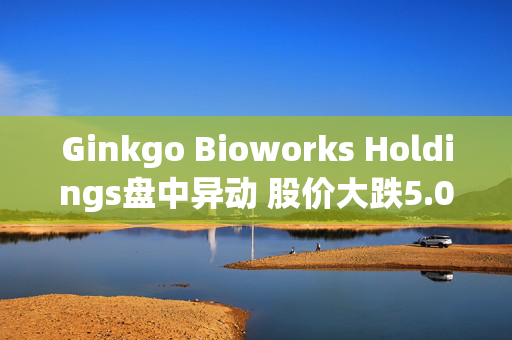 Ginkgo Bioworks Holdings盘中异动 股价大跌5.00%报13.22美元