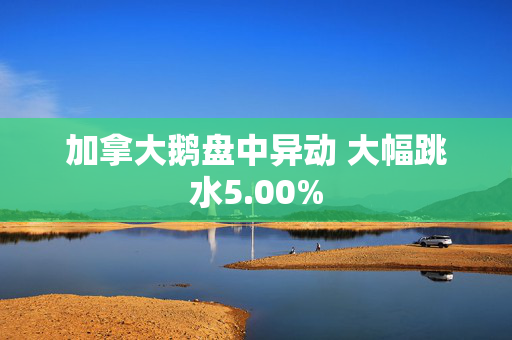 加拿大鹅盘中异动 大幅跳水5.00%