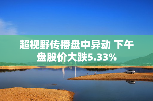 超视野传播盘中异动 下午盘股价大跌5.33%