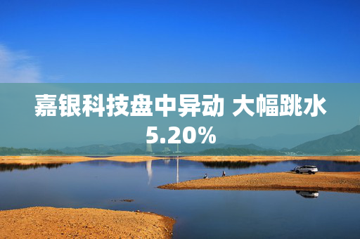 嘉银科技盘中异动 大幅跳水5.20%