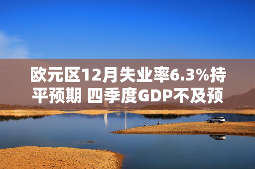 欧元区12月失业率6.3%持平预期 四季度GDP不及预期