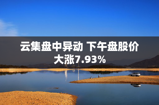 云集盘中异动 下午盘股价大涨7.93%