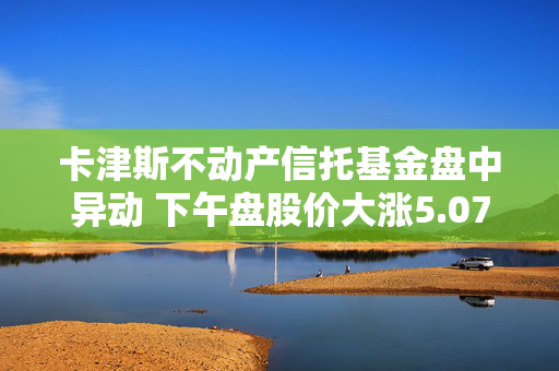 卡津斯不动产信托基金盘中异动 下午盘股价大涨5.07%报30.80美元