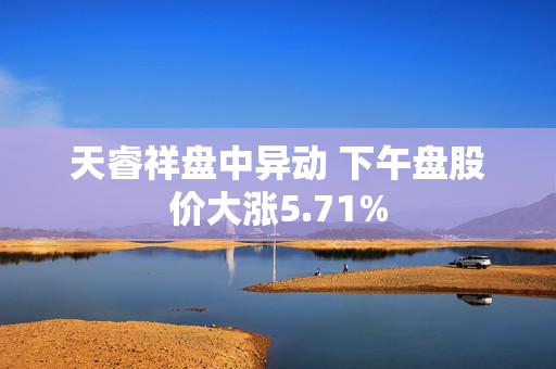 天睿祥盘中异动 下午盘股价大涨5.71%