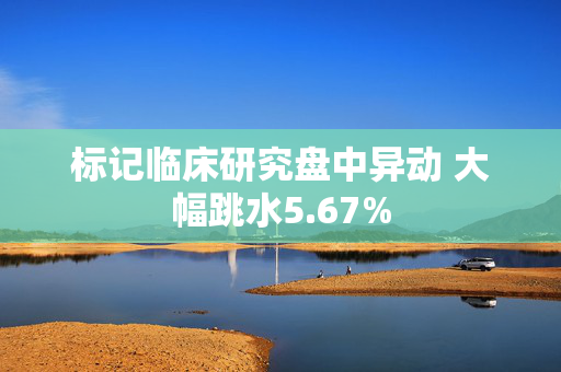 标记临床研究盘中异动 大幅跳水5.67%